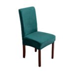 t06-m10-p01-s01-dark-green-2